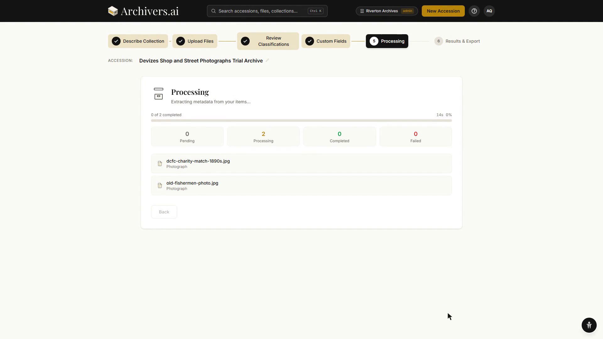 The Processing step: a progress bar with pending, processing, completed and failed counts, and each uploaded file listed with its detected category
